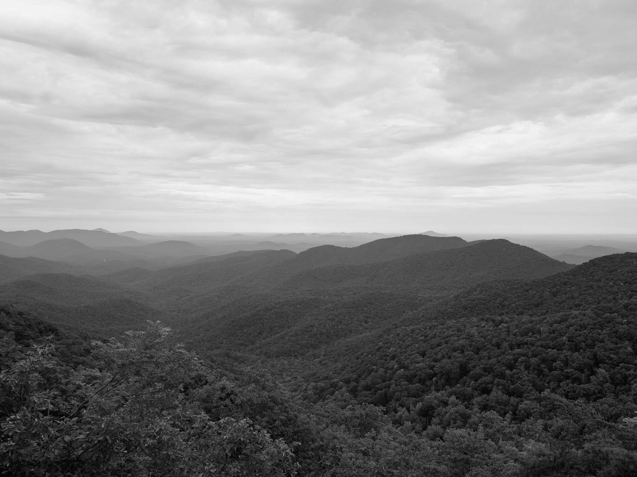 Blood Mountain Wilderness 2