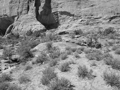 Arches National Park 7