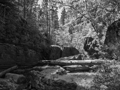 Black Hills National Forest 5