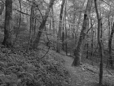 Blood Mountain Wilderness 3
