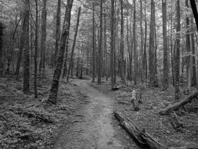 Chattahoochee National Forest 4