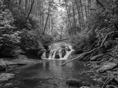 Chattahoochee National Forest 6