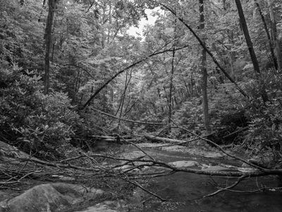 Chattahoochee National Forest 7