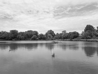 Chisholm Creek Park 1