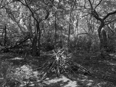 Chisholm Creek Park 3