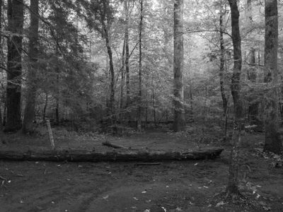 Great Smoky Mountains National Park 3