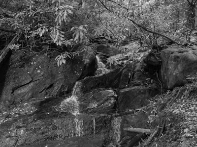 Nantahala National Forest 4