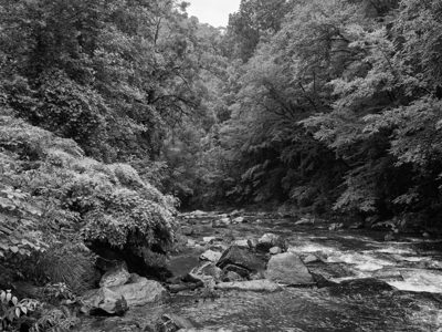 Nantahala National Forest 8