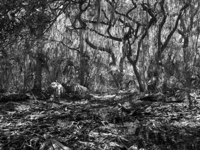 Pinckney Island National Wildlife Refuge 3