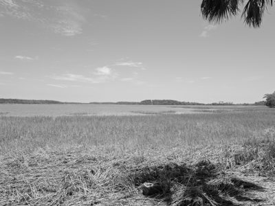 Pinckney Island National Wildlife Refuge 5