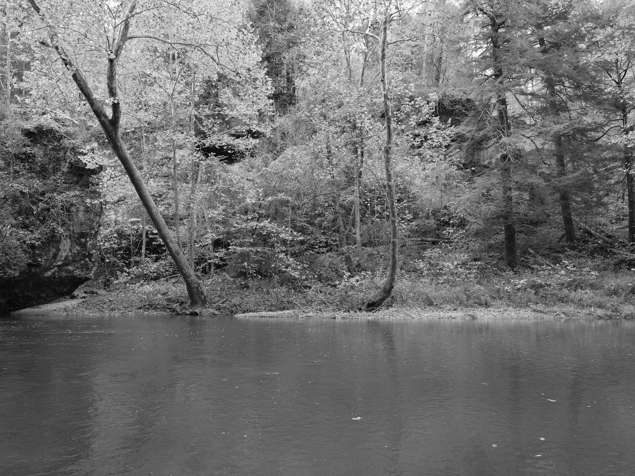 Arc of Appalachia III