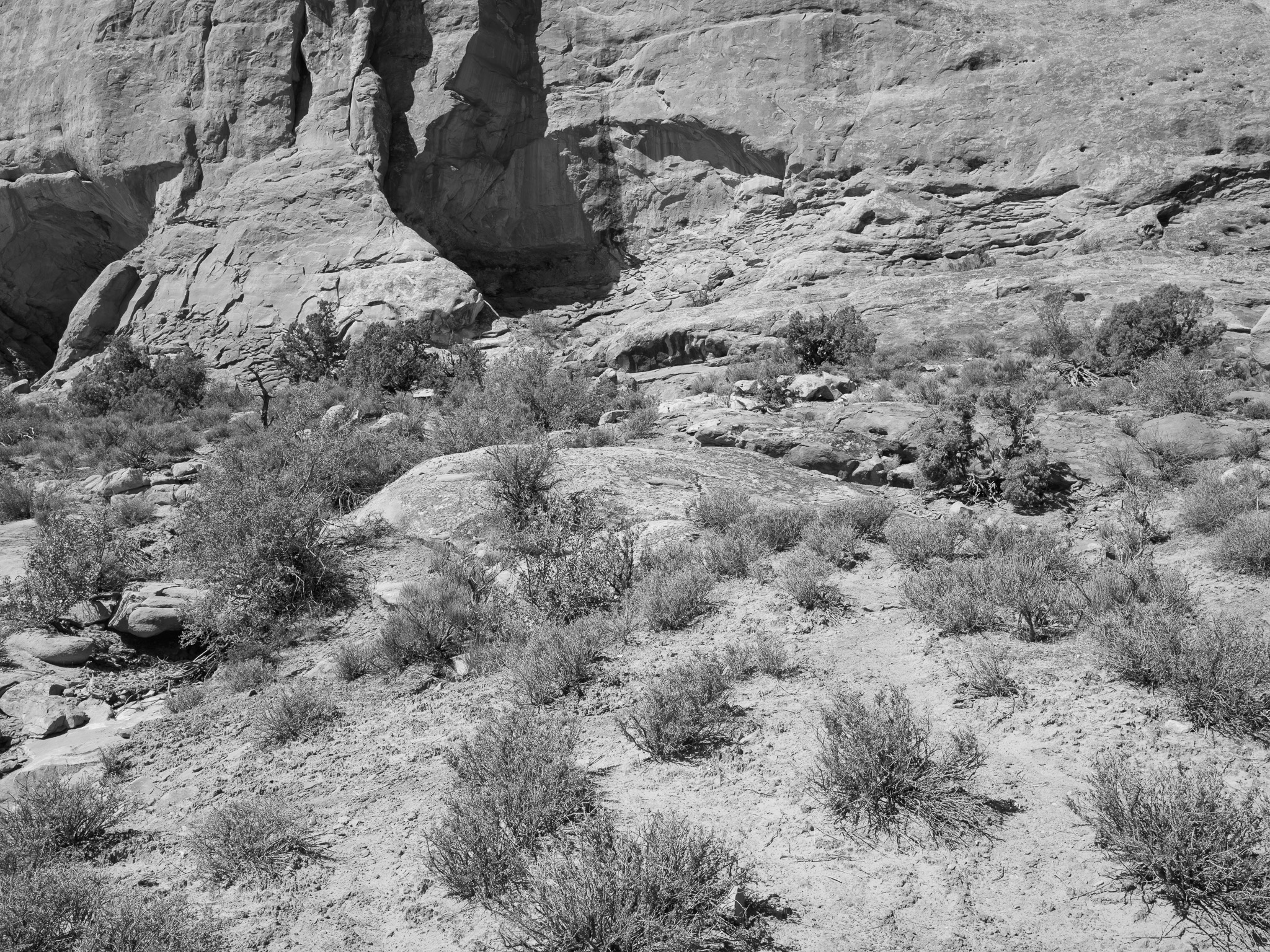 Arches National Park 7