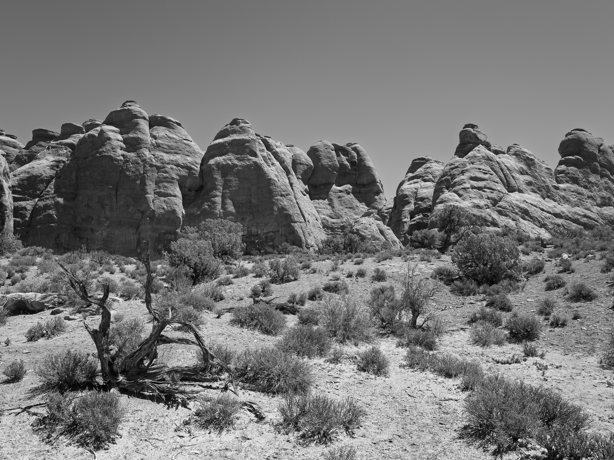 Arches National Park 15