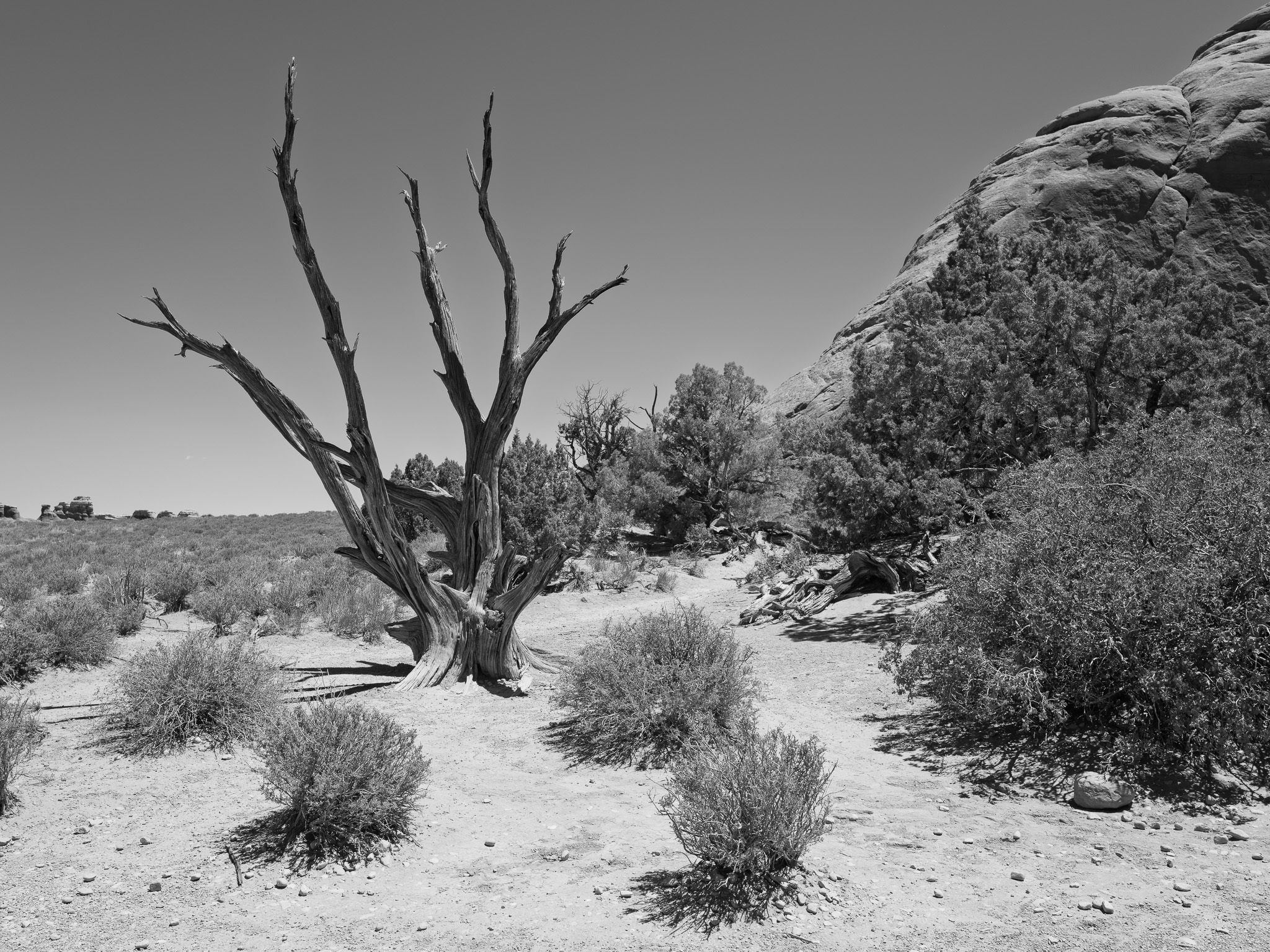 Arches National Park 18