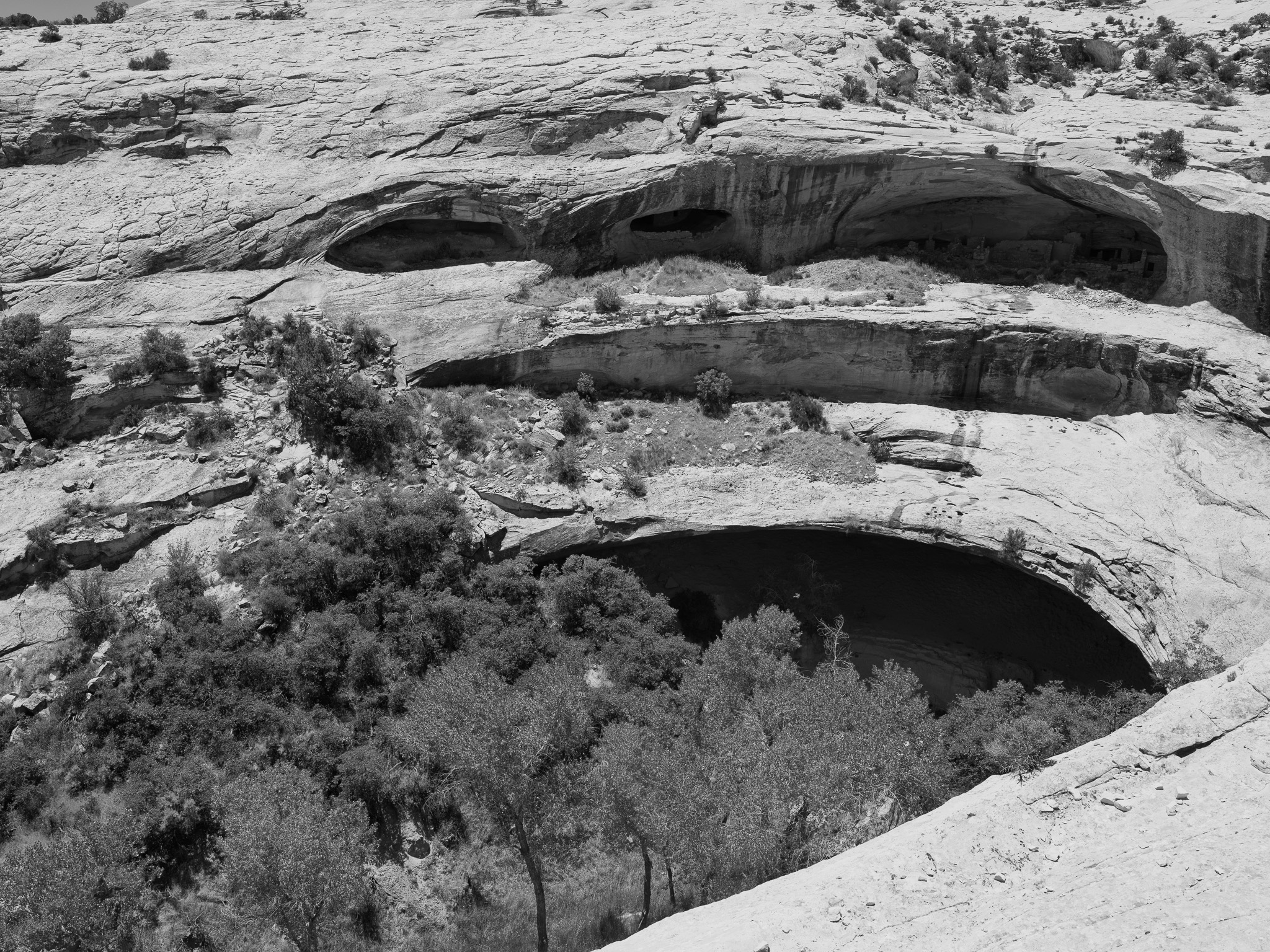 Bears Ears National Monument 3