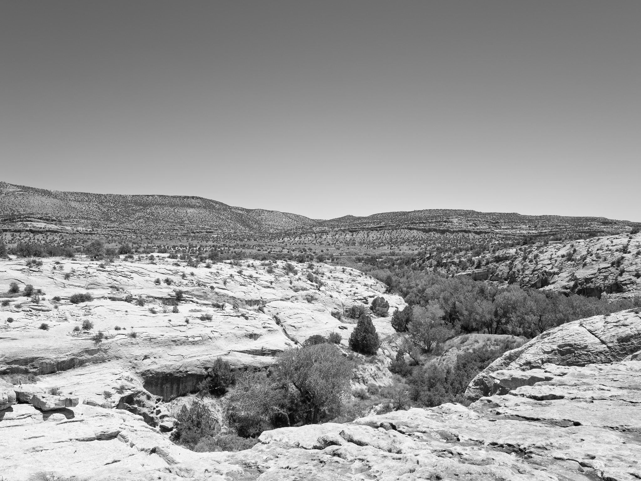 Bears Ears National Monument 6