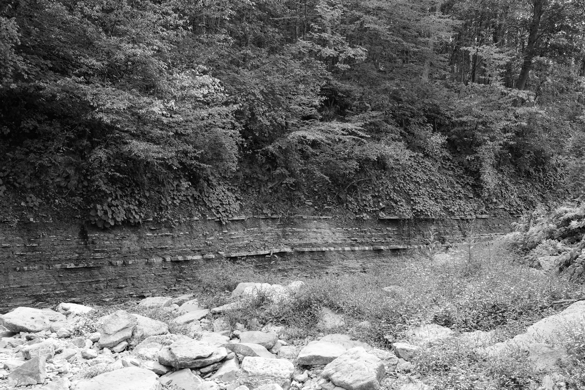 Bender Mountain Nature Preserve VI