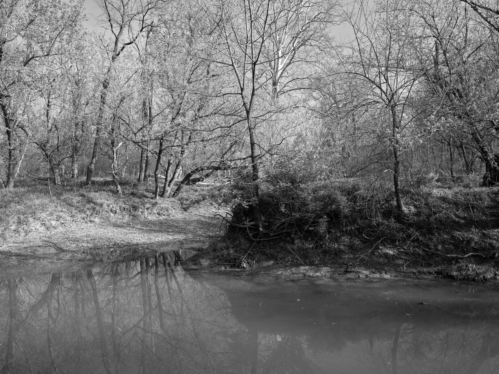 Big Bone Lick State Historic Site VI