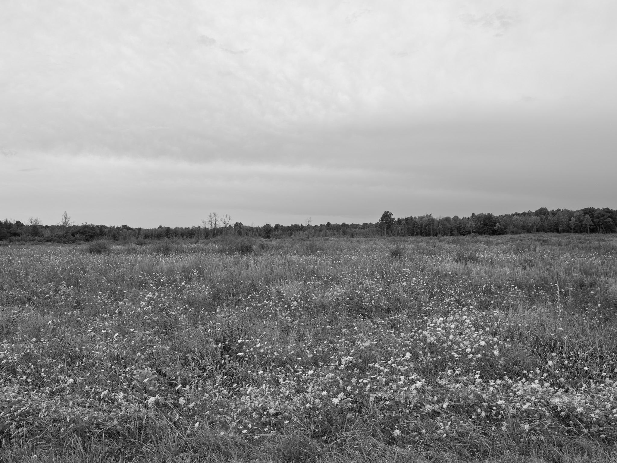 Big Oaks National Wildlife Refuge 1