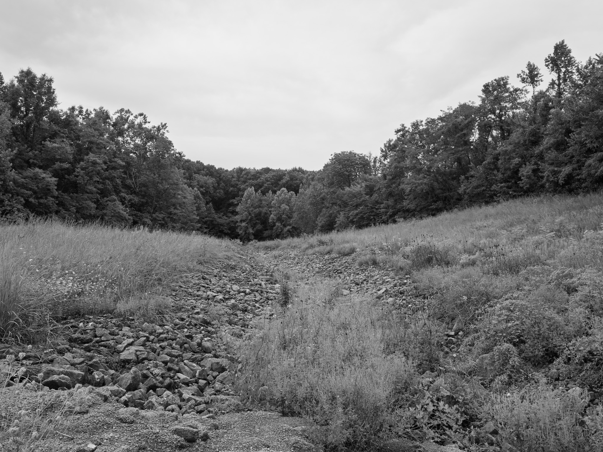 Big Oaks National Wildlife Refuge 3