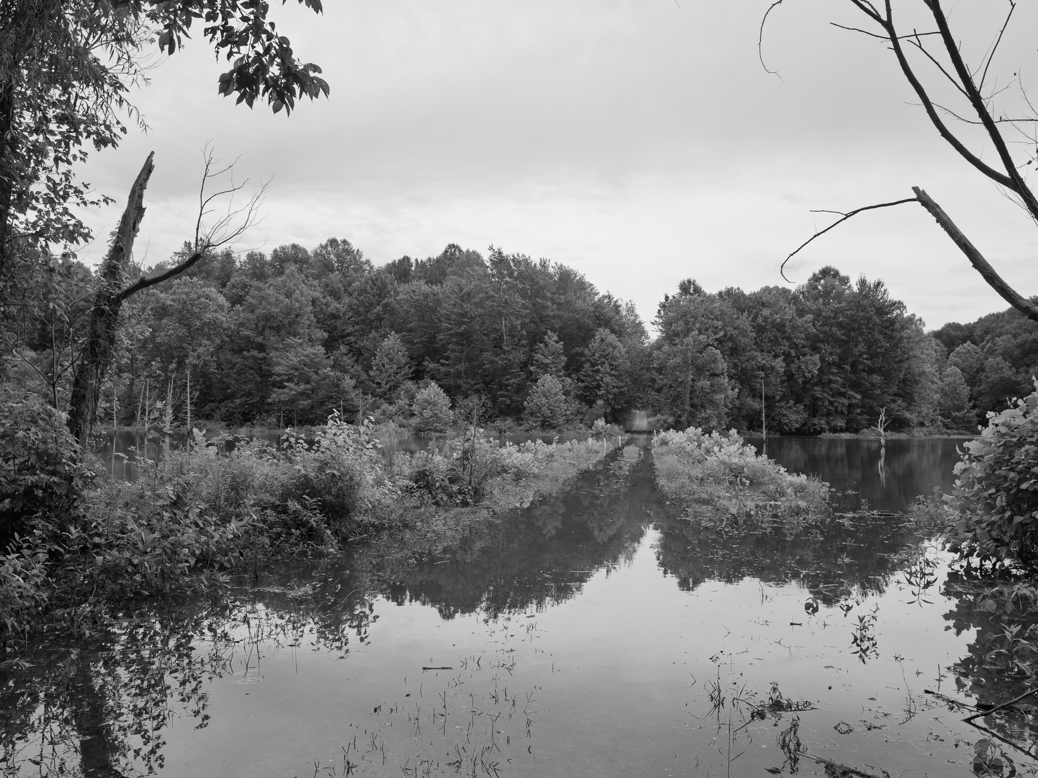 Big Oaks National Wildlife Refuge 4