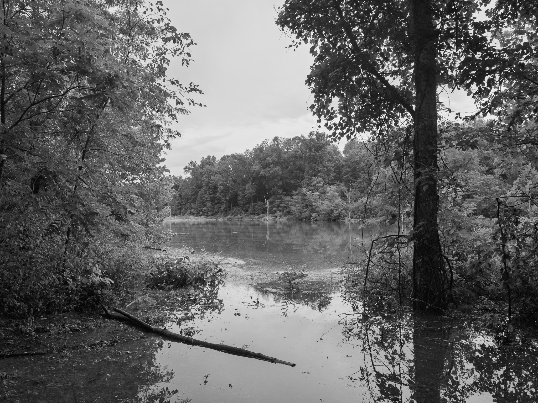 Big Oaks National Wildlife Refuge 5