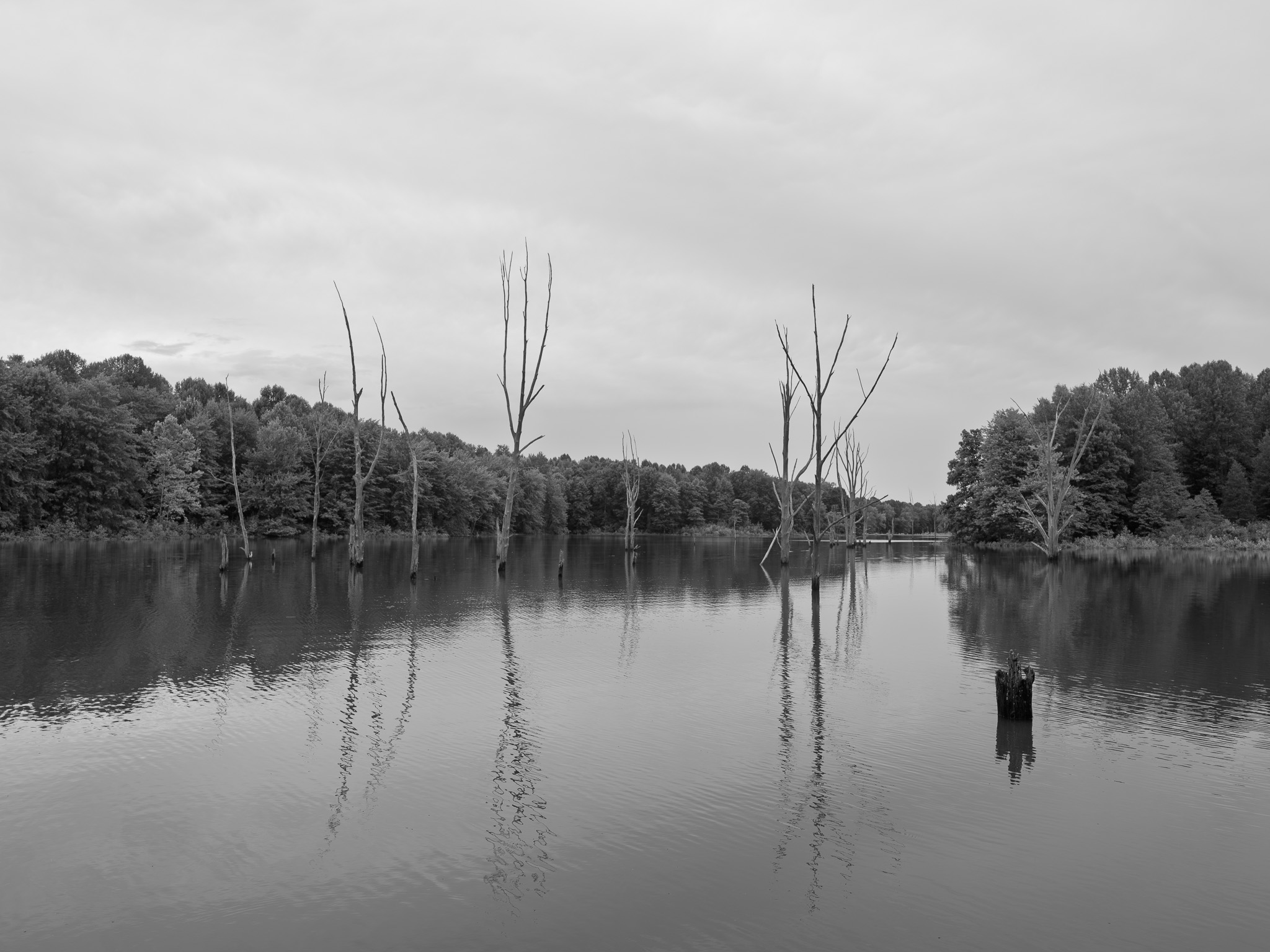 Big Oaks National Wildlife Refuge 6