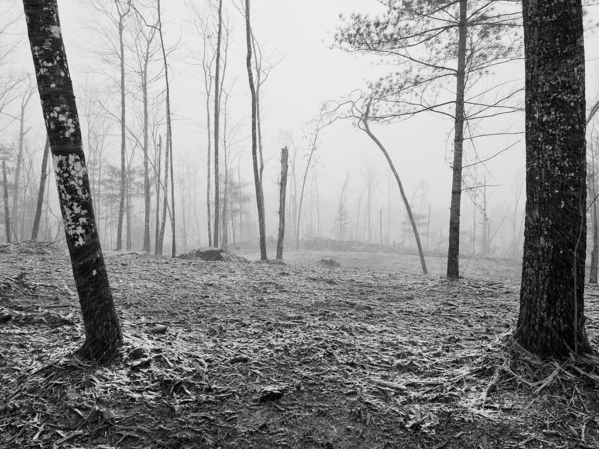 Big South Fork National River and Recreation Area I