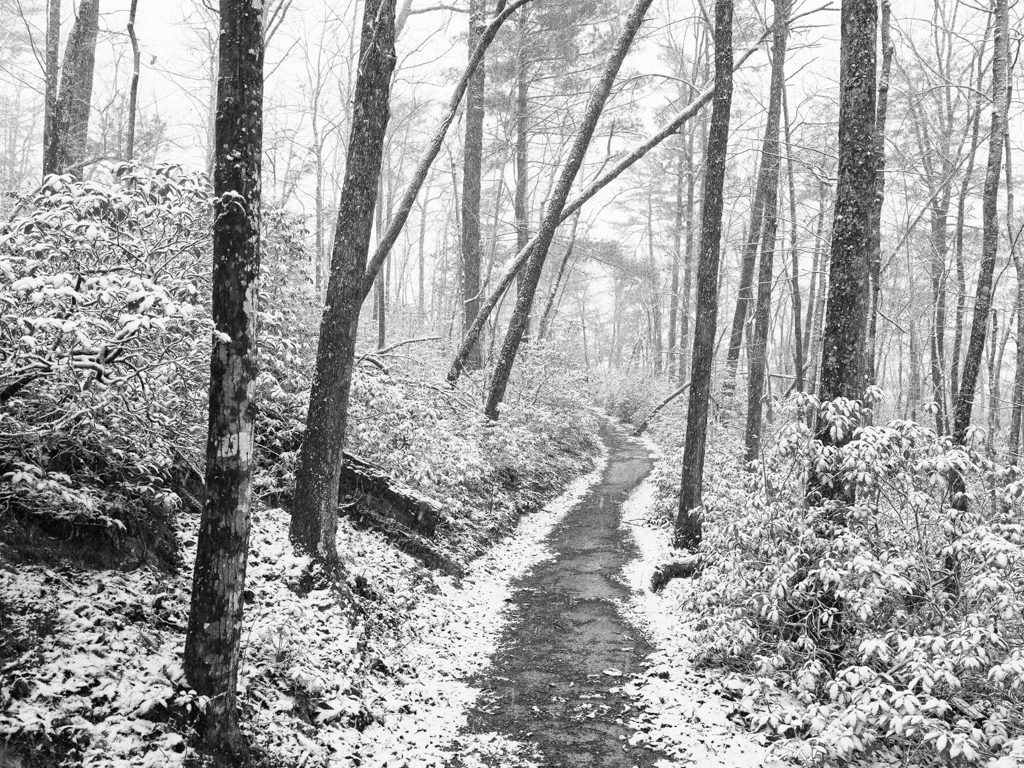 Big South Fork National River and Recreation Area II