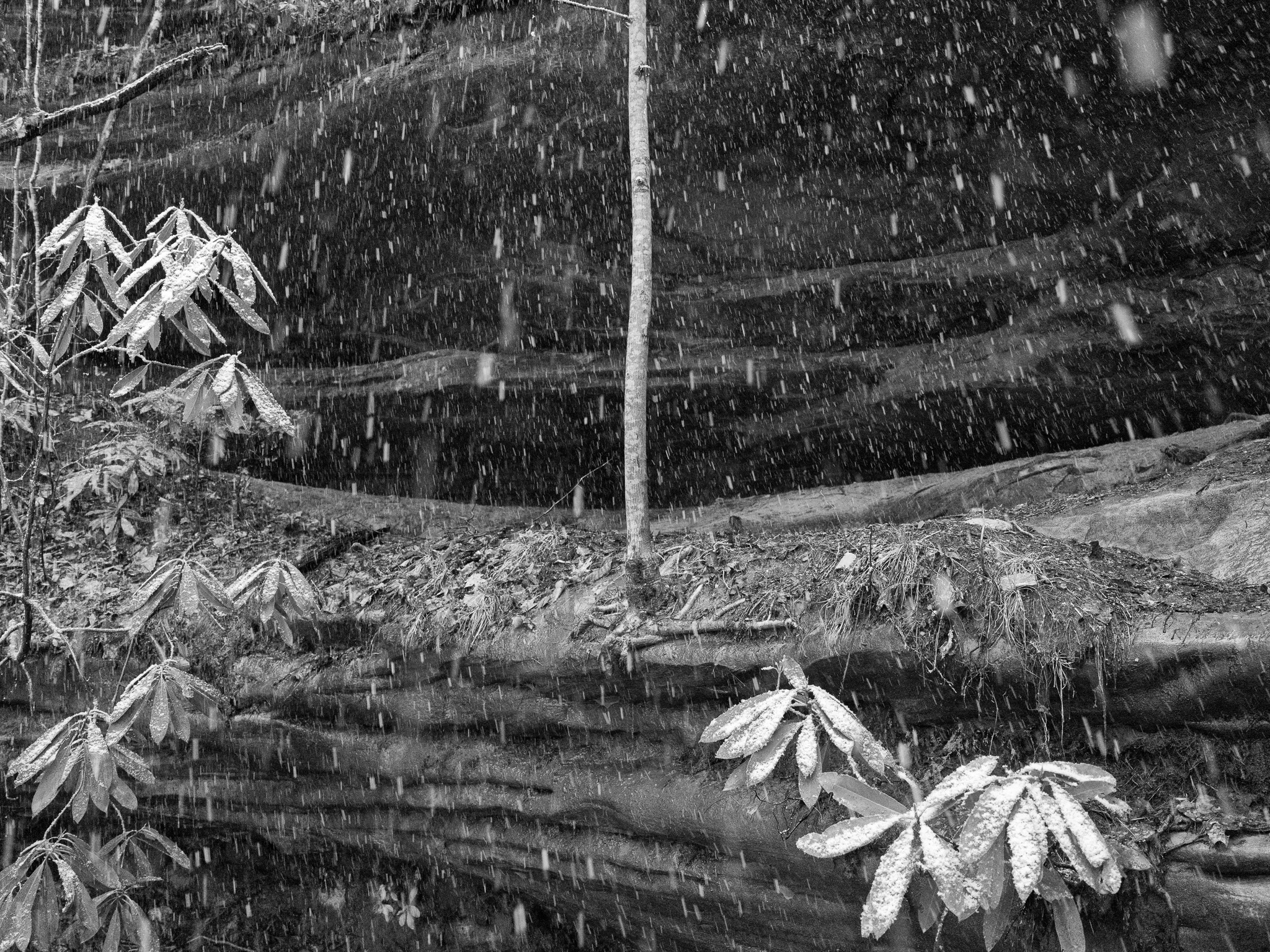 Big South Fork National River and Recreation Area III