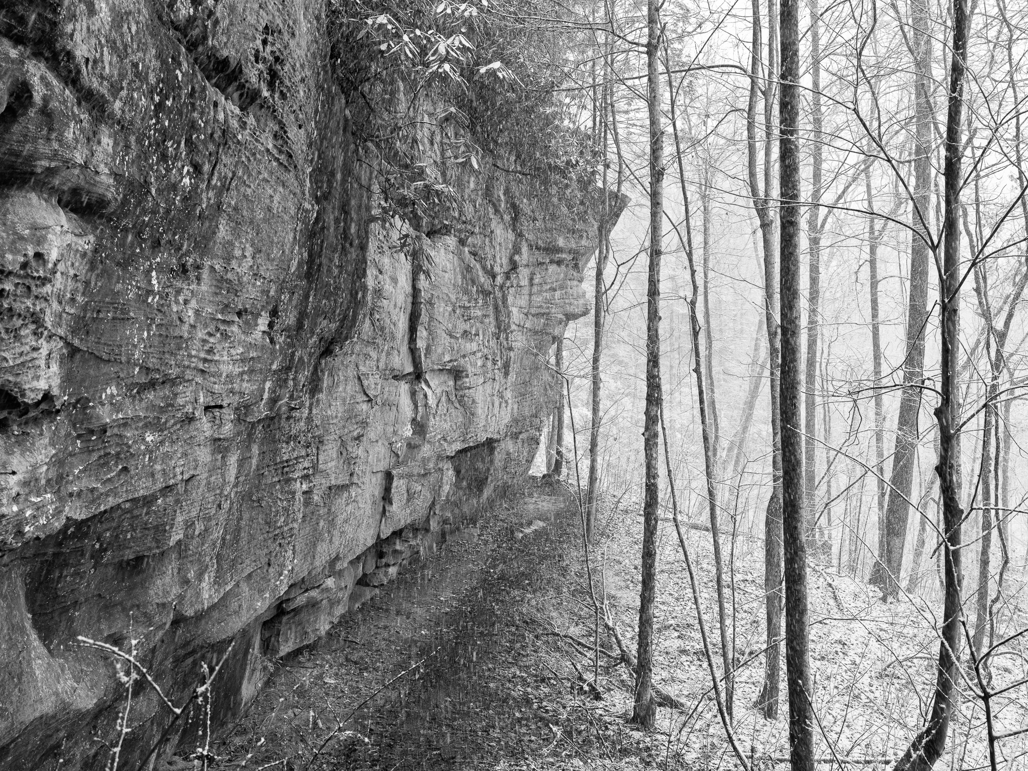 Big South Fork National River and Recreation Area IV