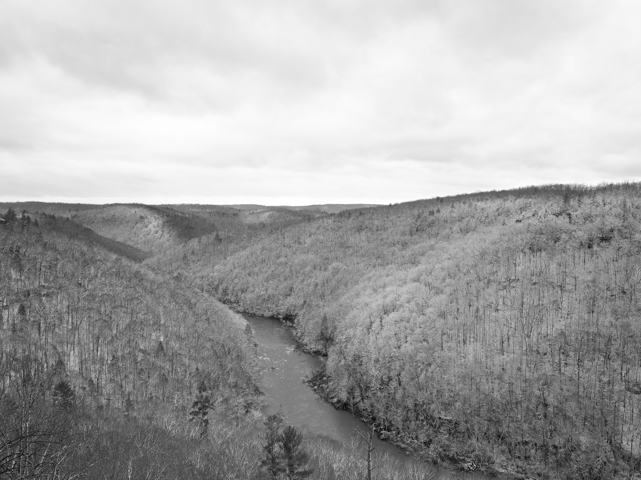 Big South Fork National River and Recreation Area VIII