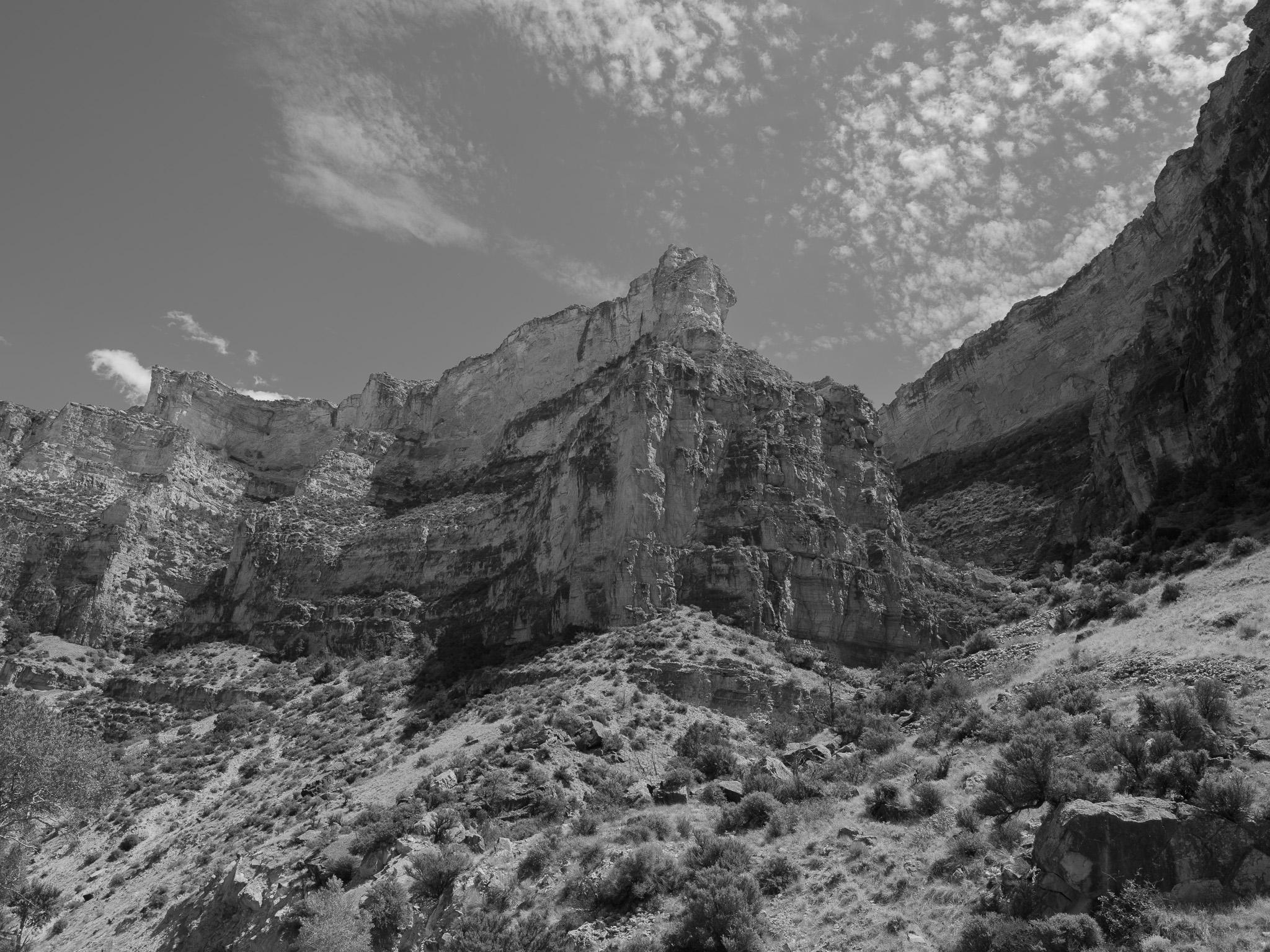 Bighorn National Forest 6