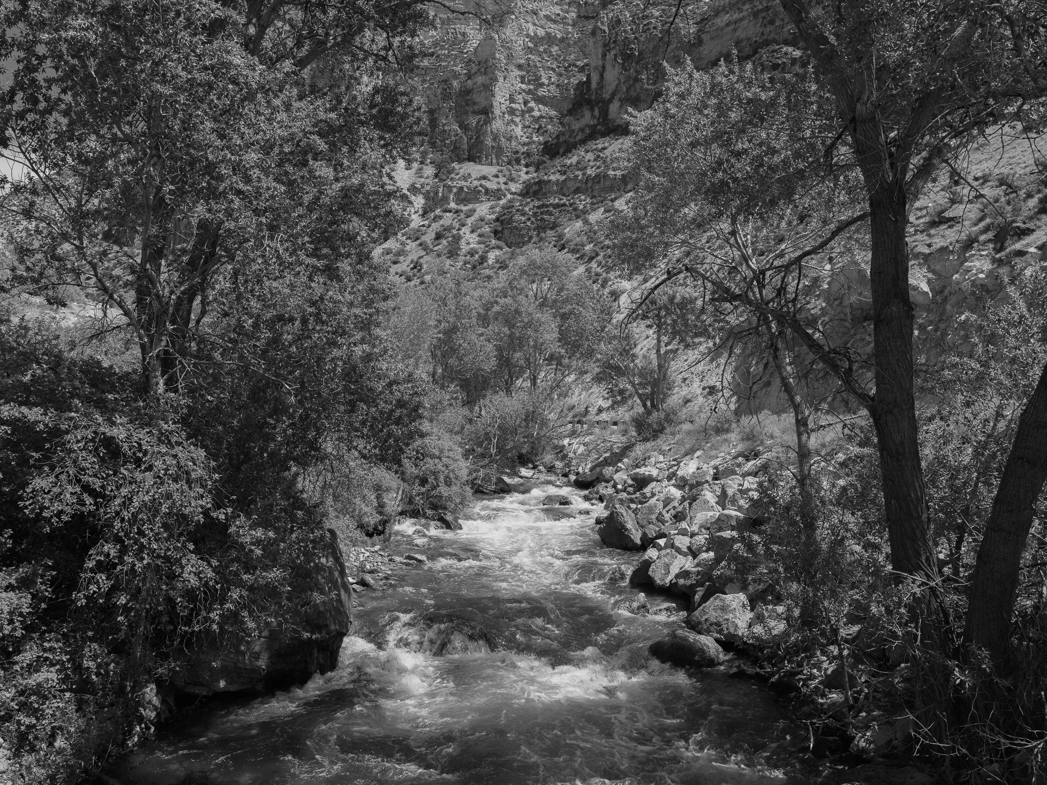 Bighorn National Forest 7