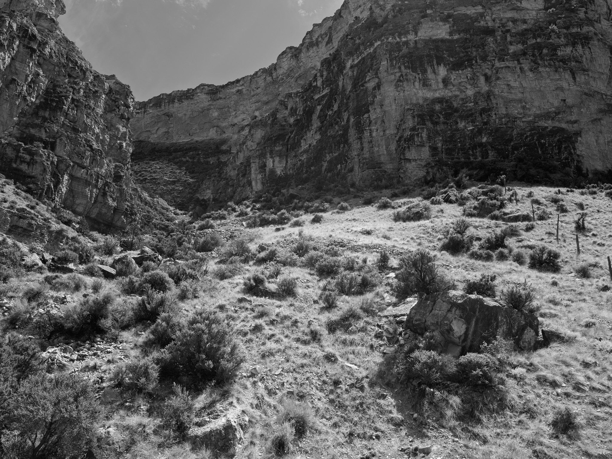 Bighorn National Forest 8