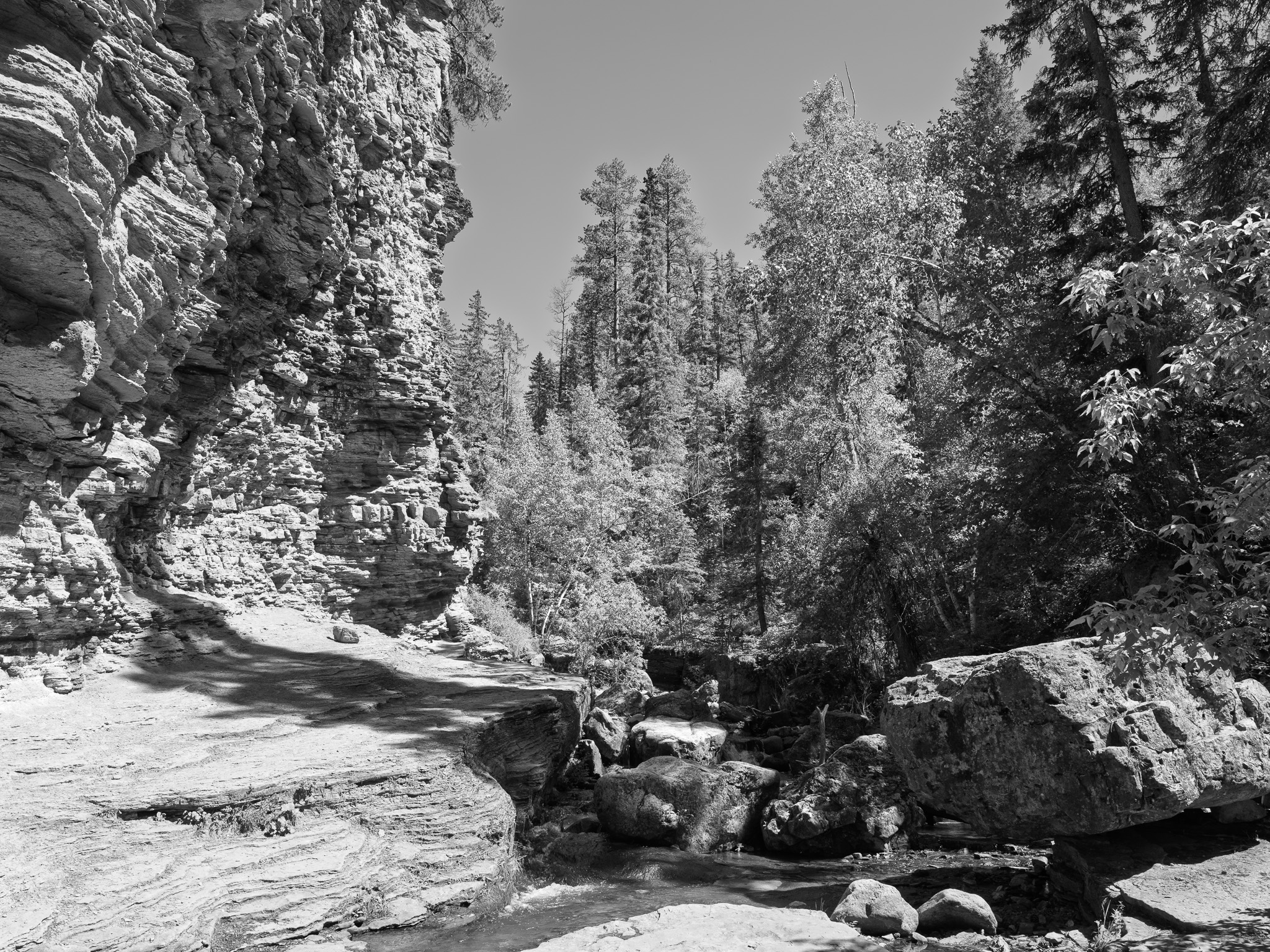 Black Hills National Forest 4