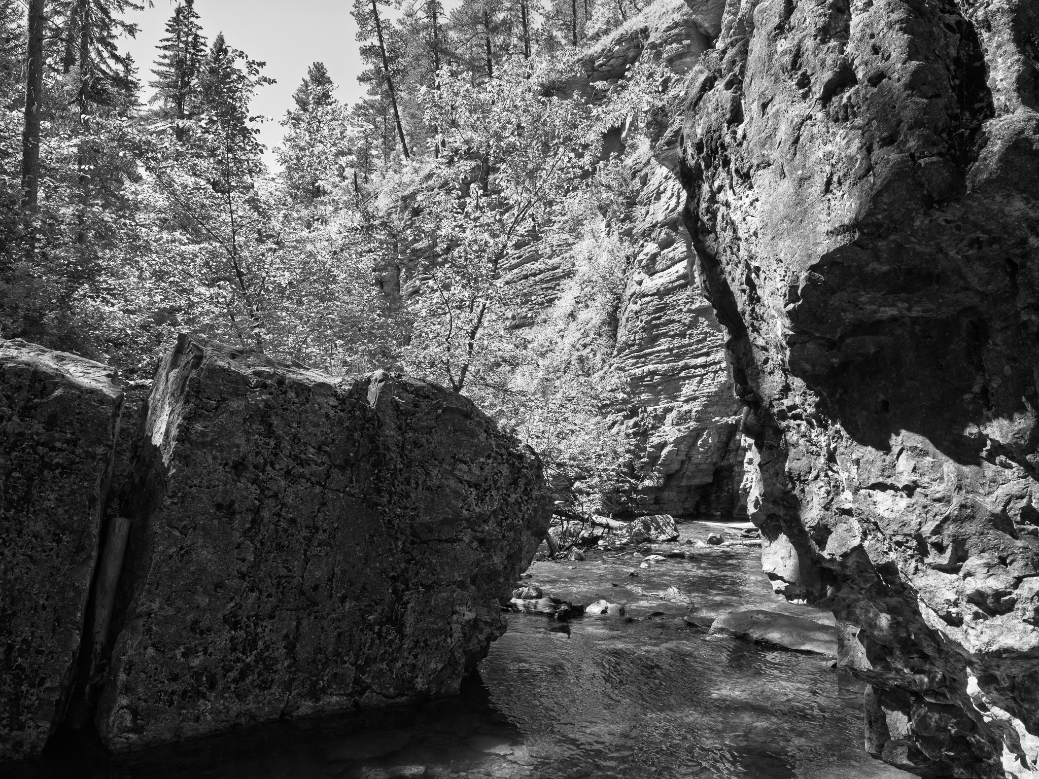 Black Hills National Forest 7