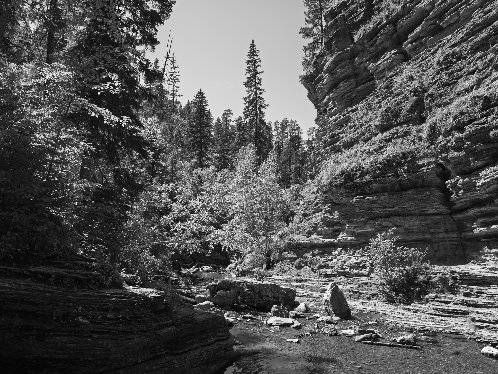 Black Hills National Forest 8