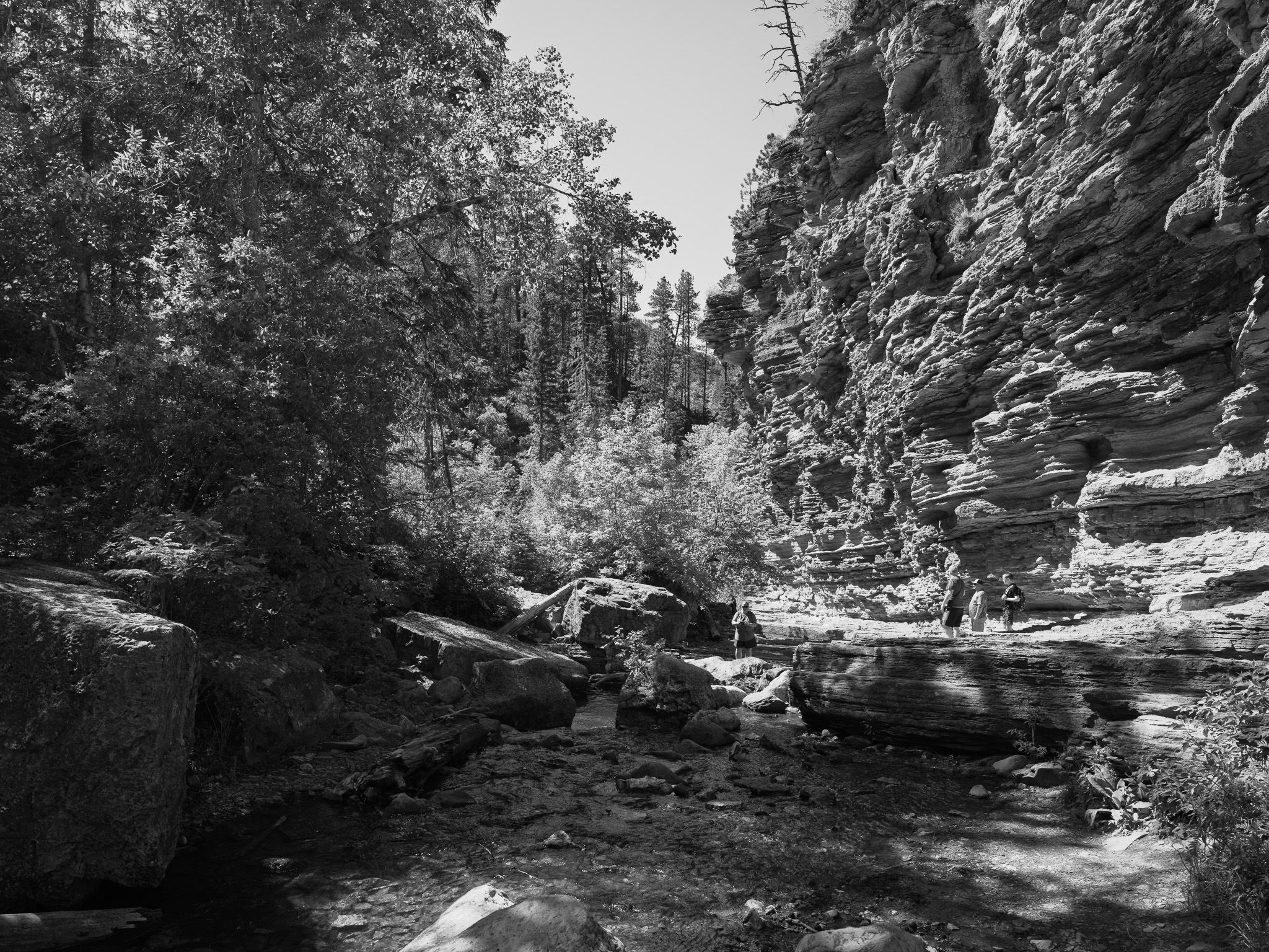 Black Hills National Forest 9
