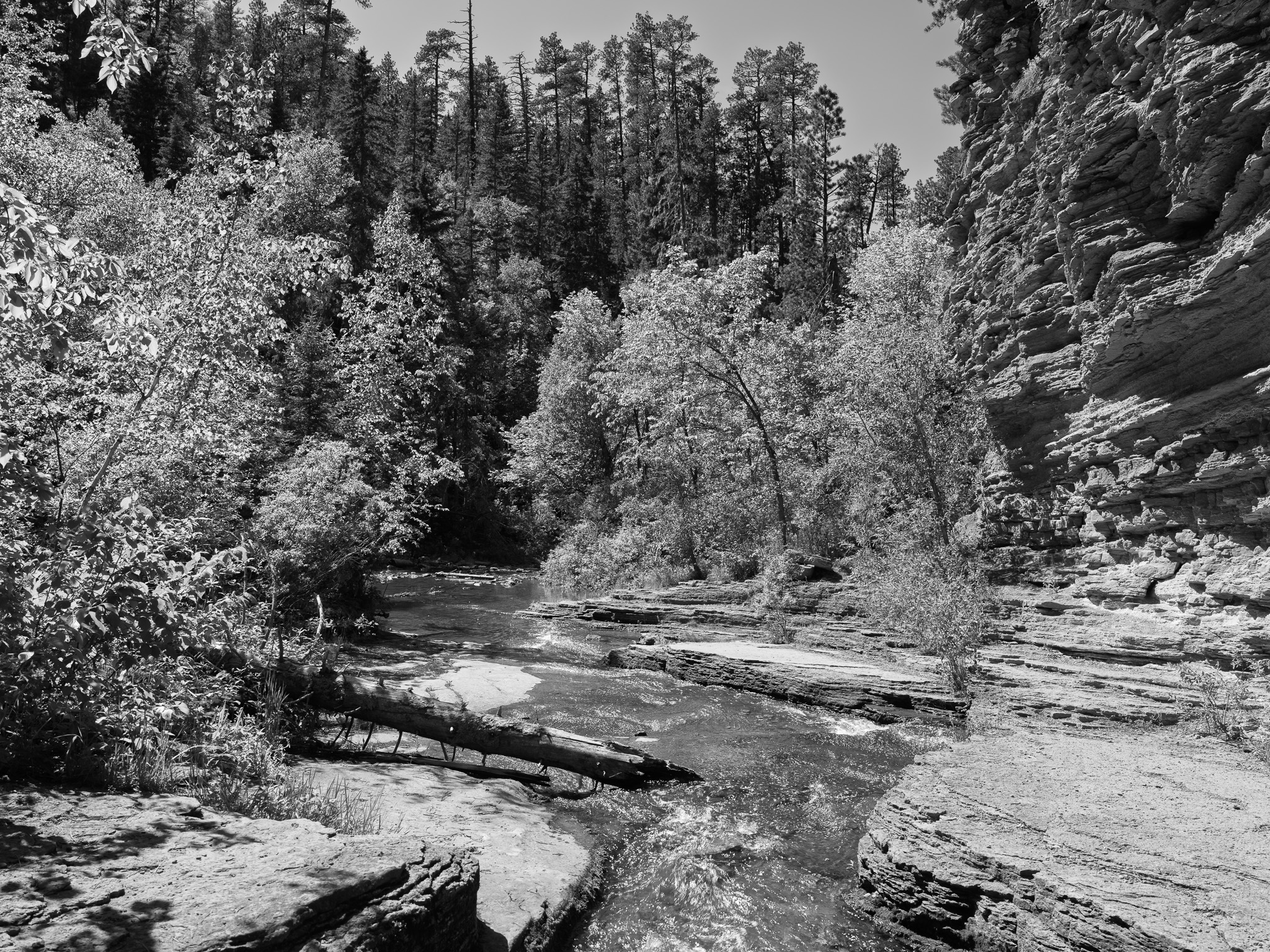 Black Hills National Forest 10