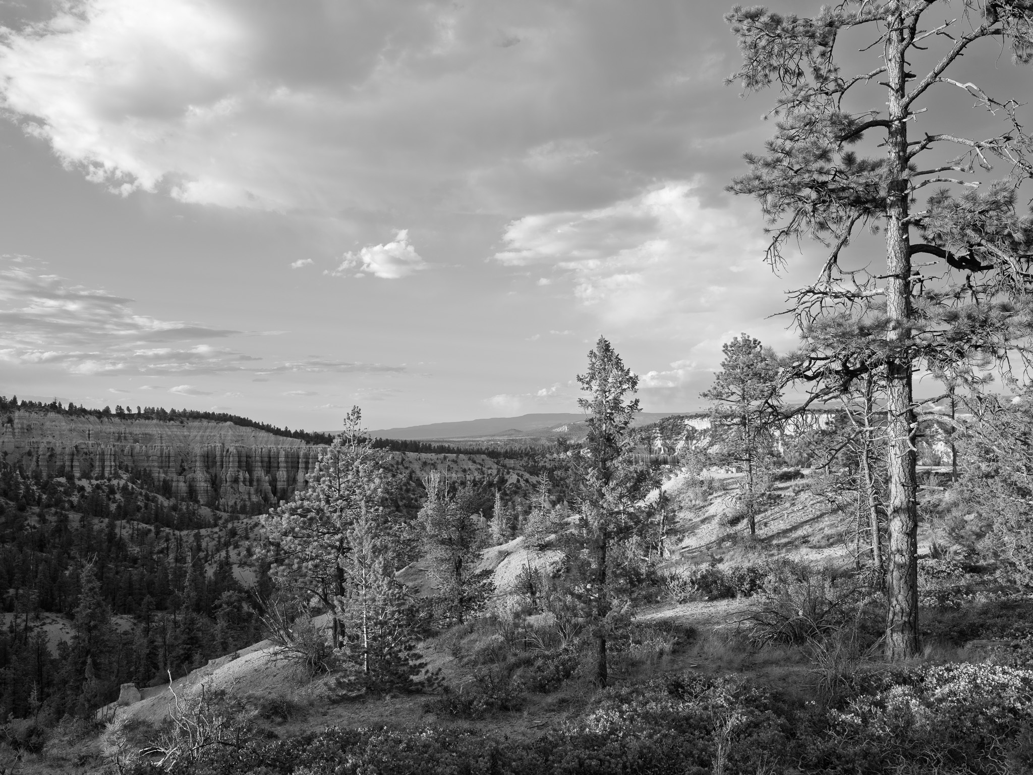 Bryce Canyon National Park 2