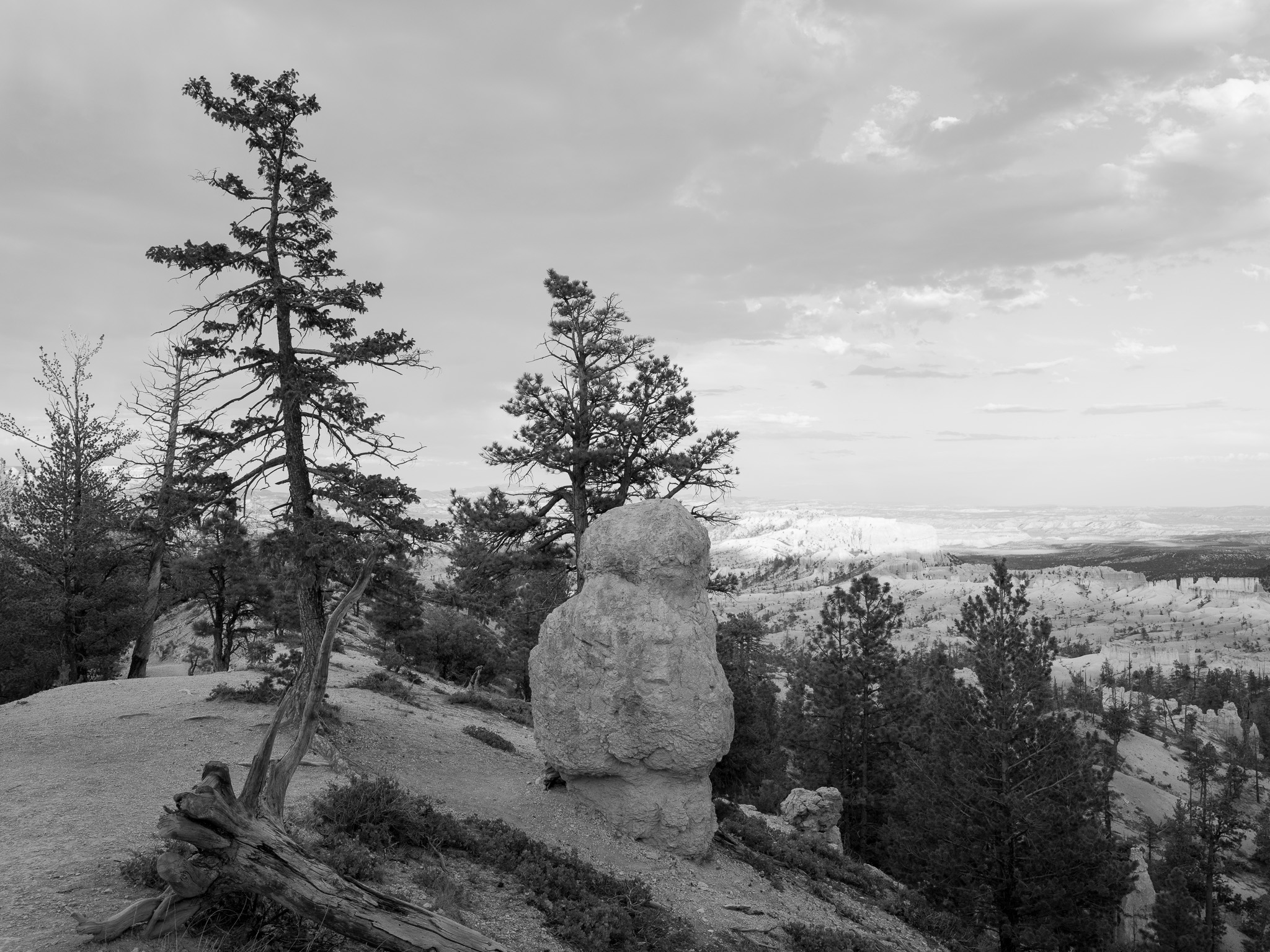 Bryce Canyon National Park 3