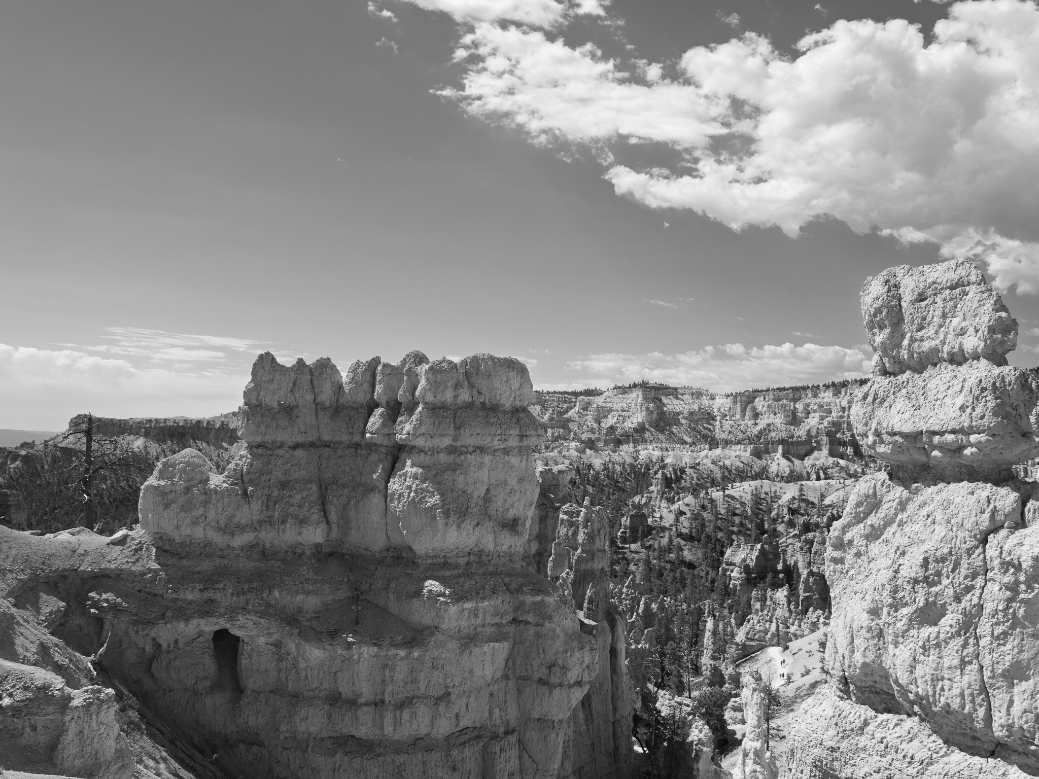 Bryce Canyon National Park 6