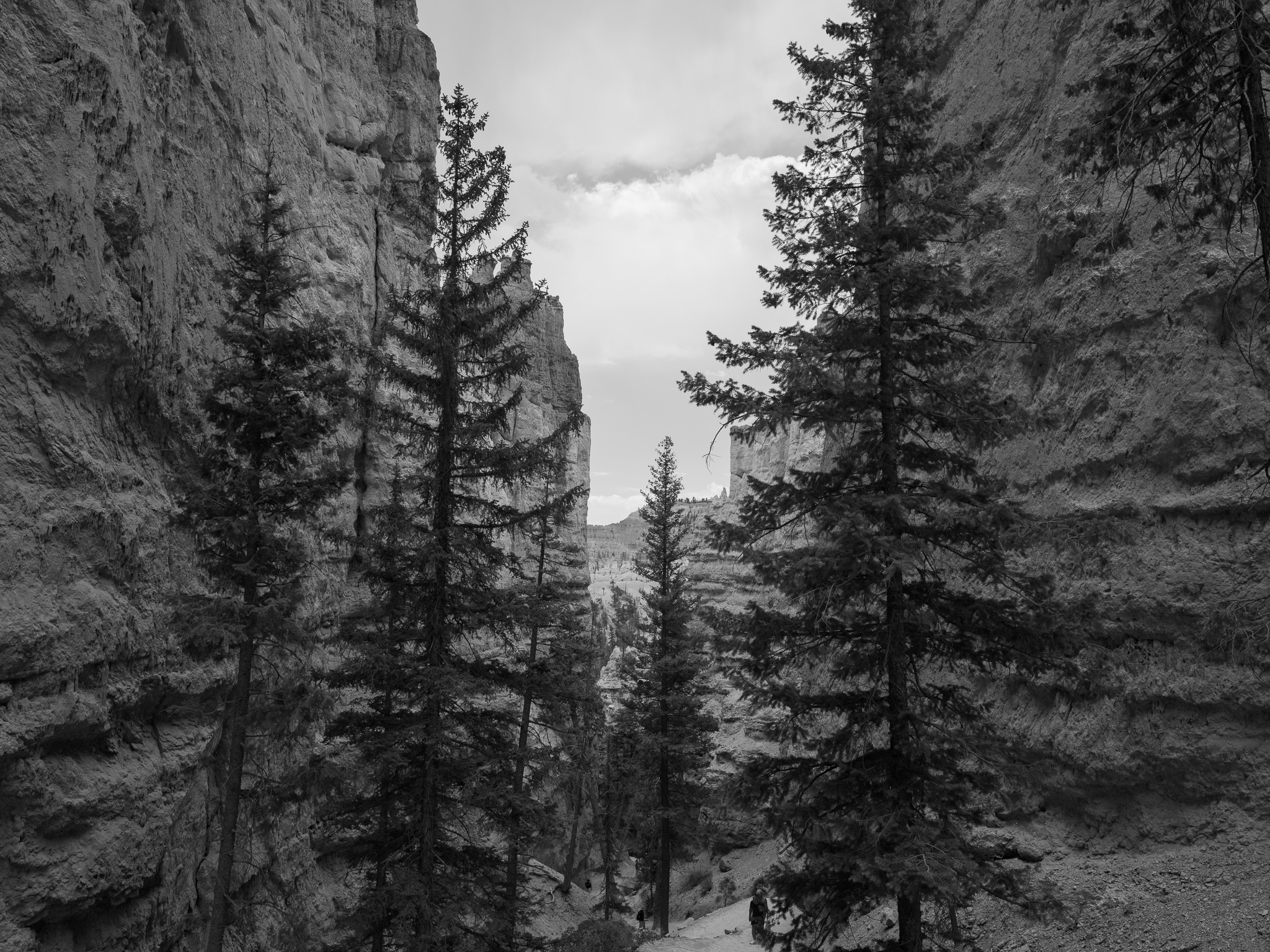 Bryce Canyon National Park 10