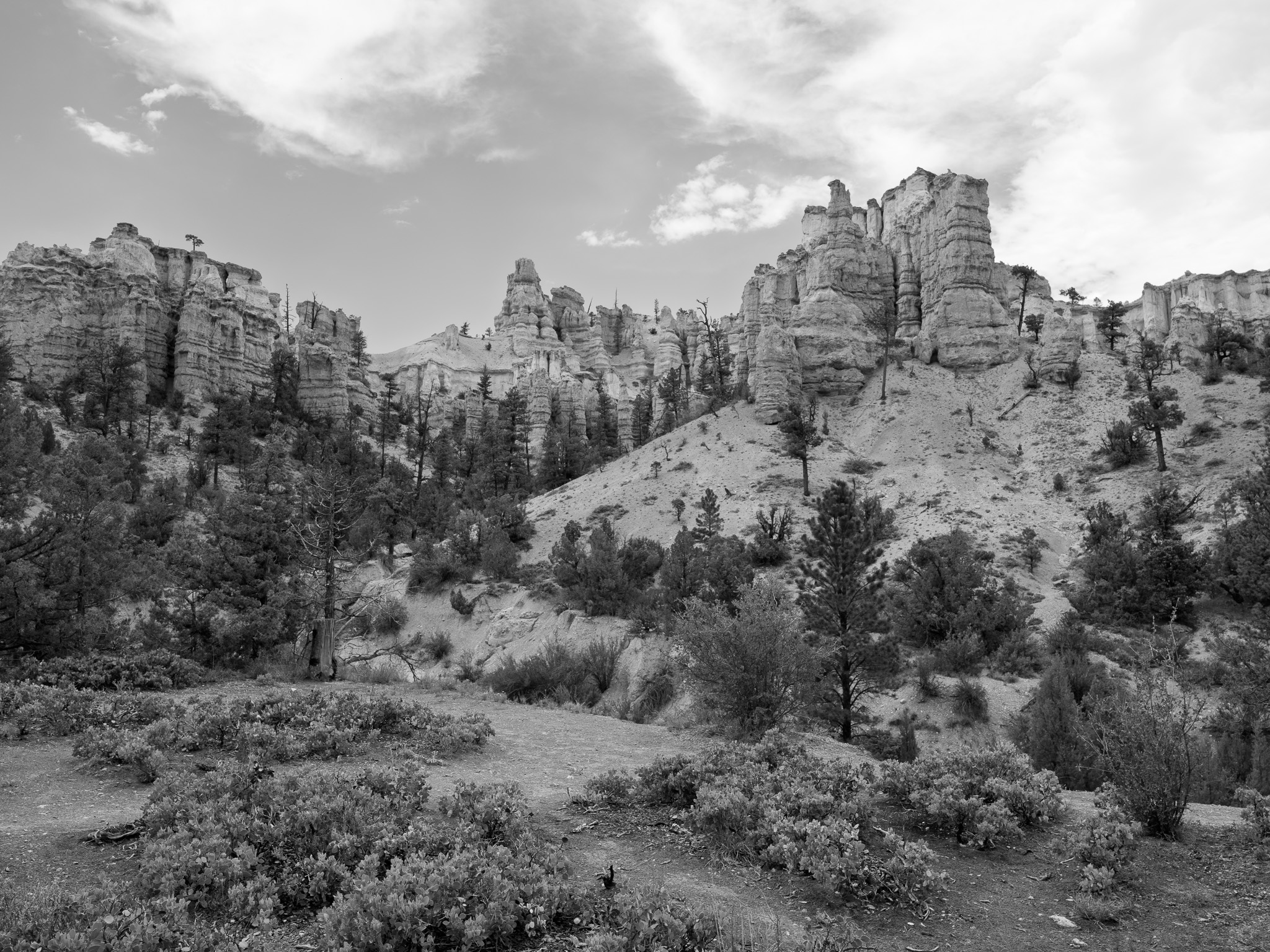 Bryce Canyon National Park 11