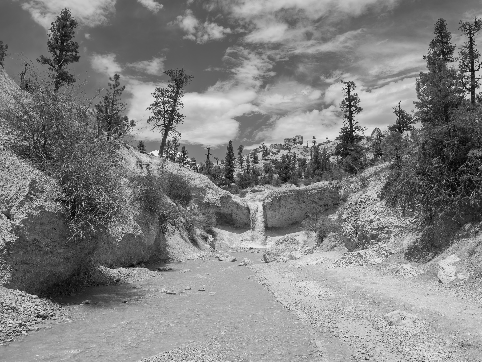 Bryce Canyon National Park 13
