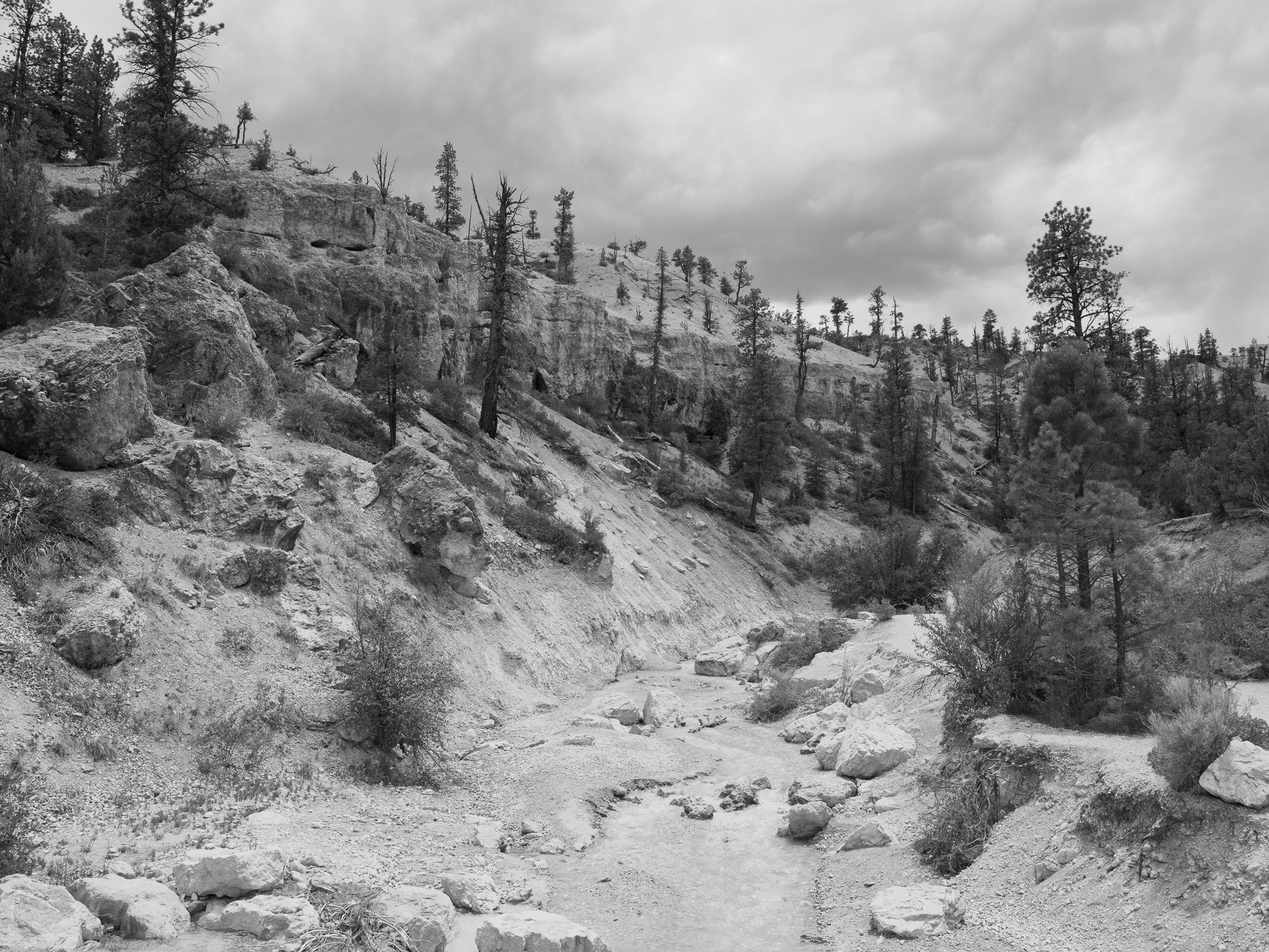 Bryce Canyon National Park 14