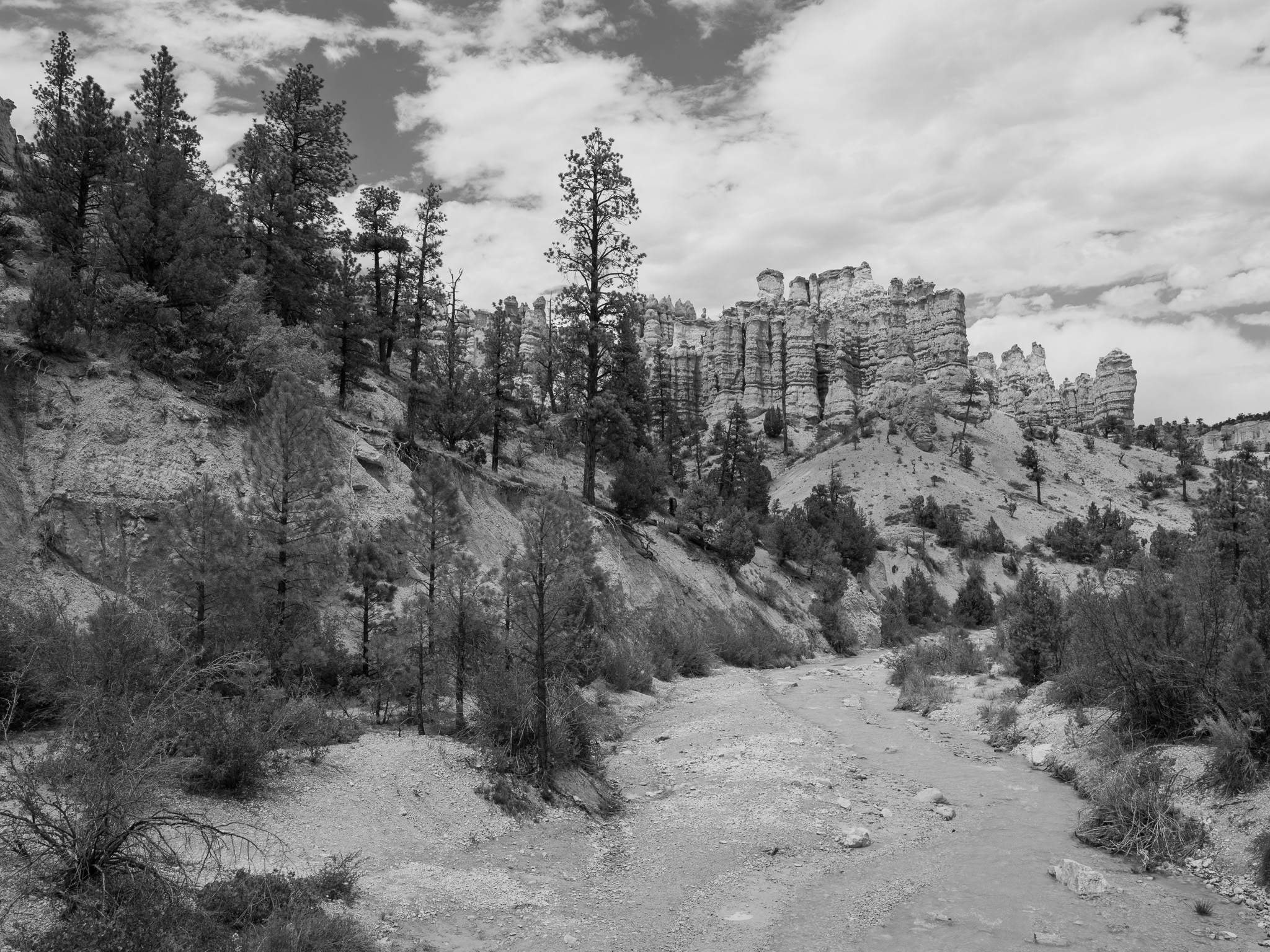 Bryce Canyon National Park 15