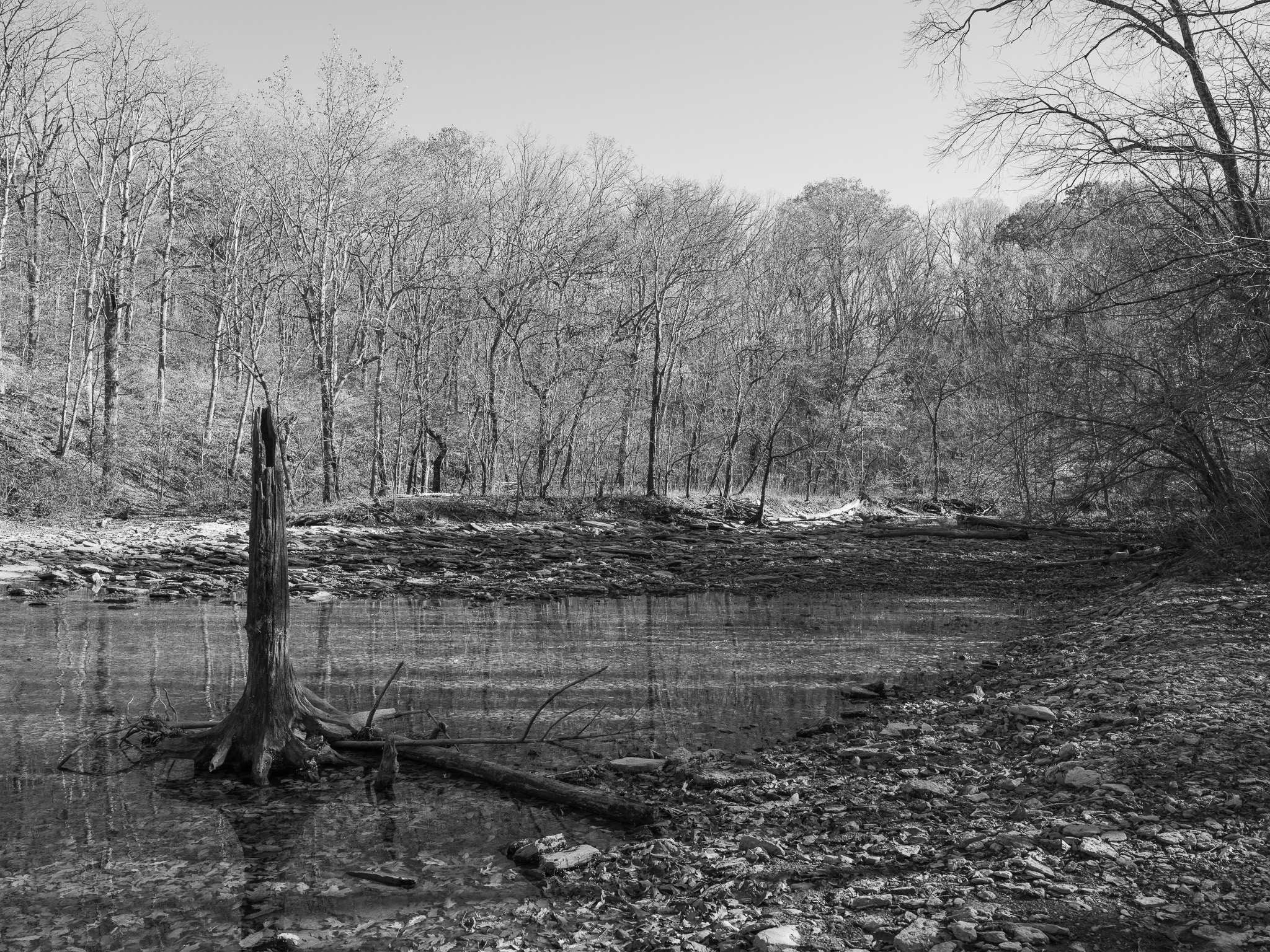 Caesar Creek State Park IV