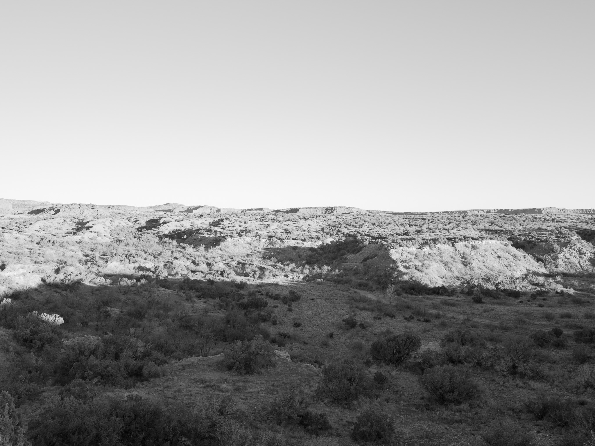 Caprock Canyon State Park I